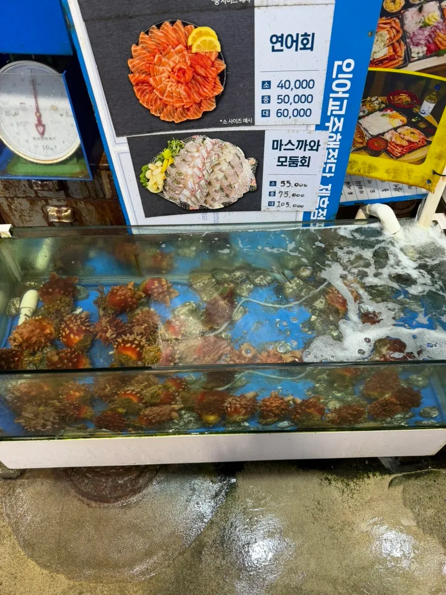 海松生鱼片店今日推荐菜单说明