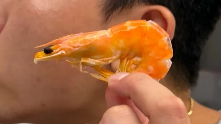 作为赠品拿到的海螺和虾