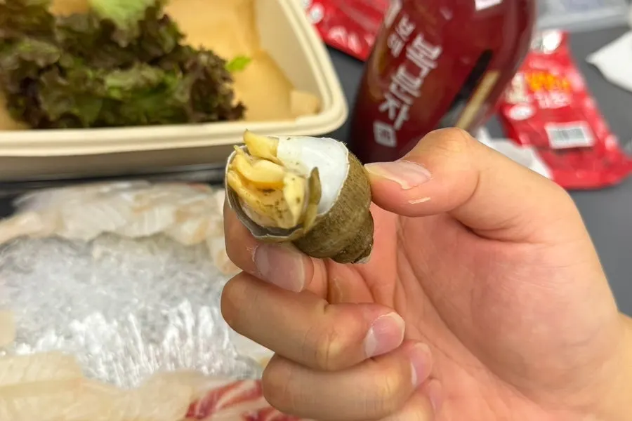 海螺和虾赠送海鲜