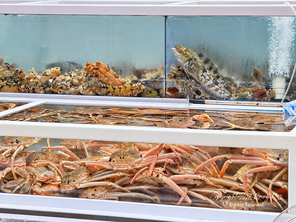Sashimi takeout shop inside Jumunjin Fish Market