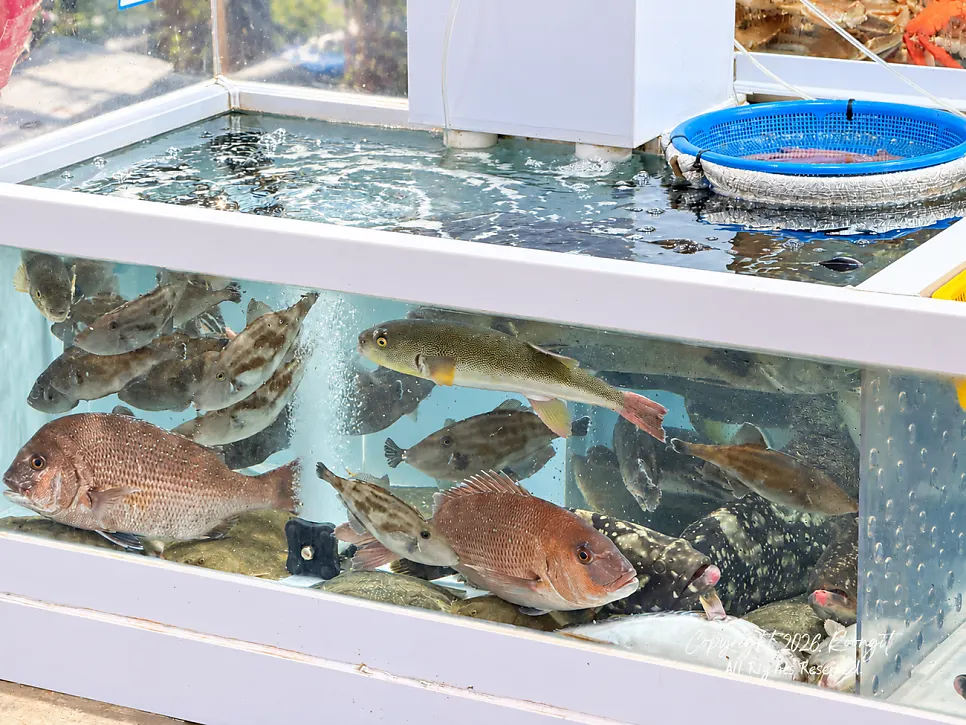 Fish tank inside Minja Hoetjip