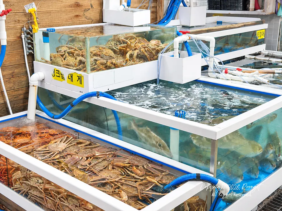 Cleanly maintained live fish tank