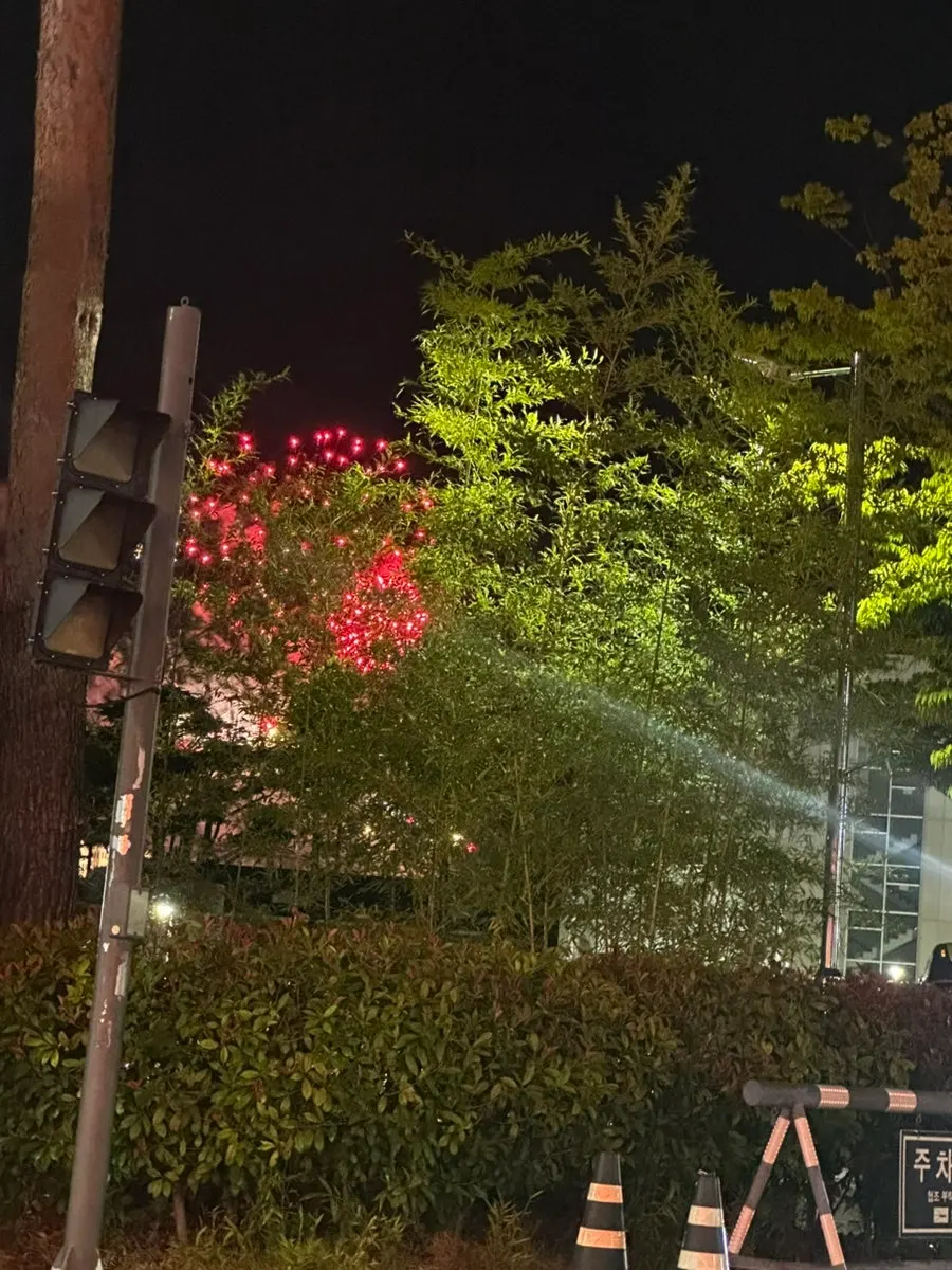 식사를 마친 주명당 테이블 풍경