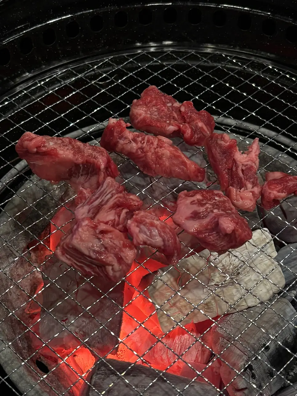 Grilled sirloin and beef short rib meat