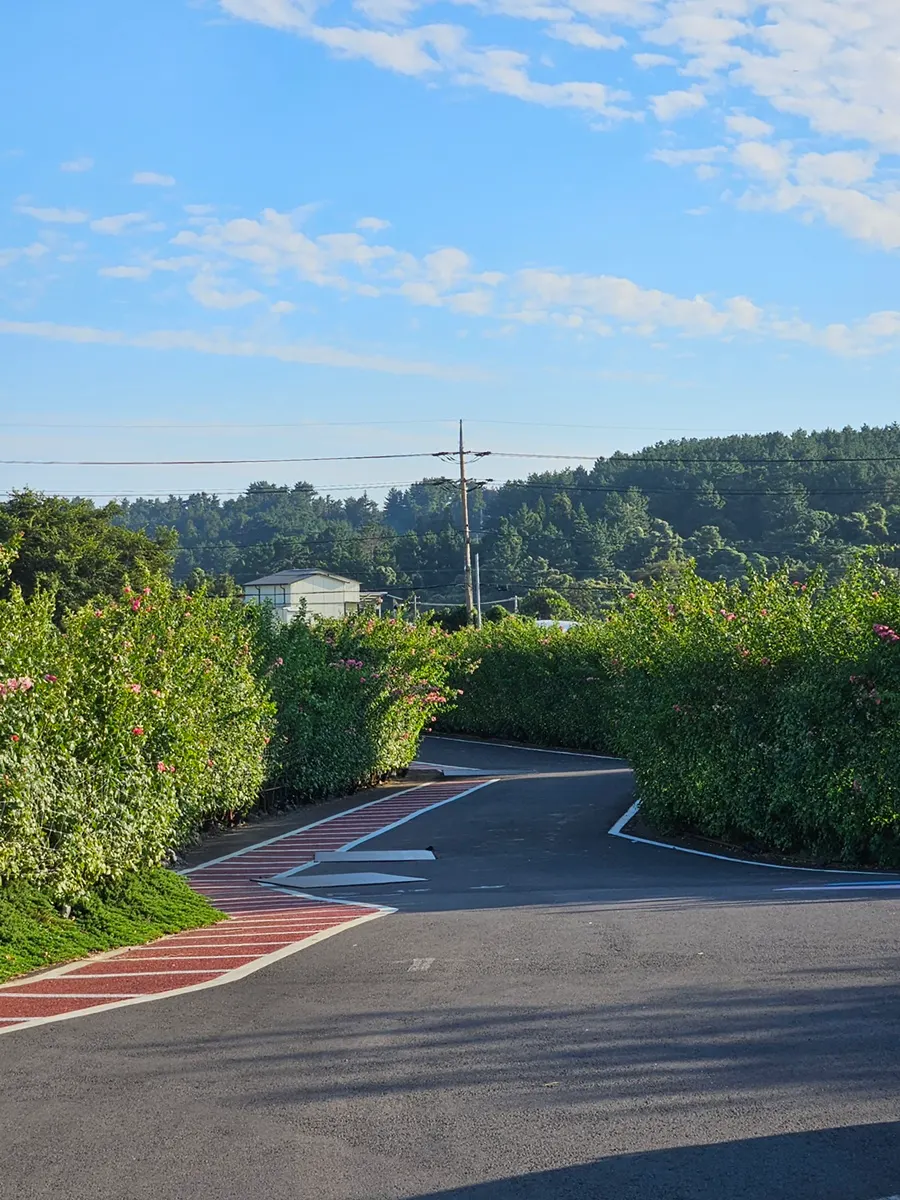 중문고등어쌈밥 장미정원 풍경