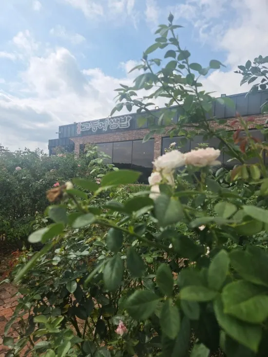 Gran jardín de 3500 pyeong fuera del restaurante