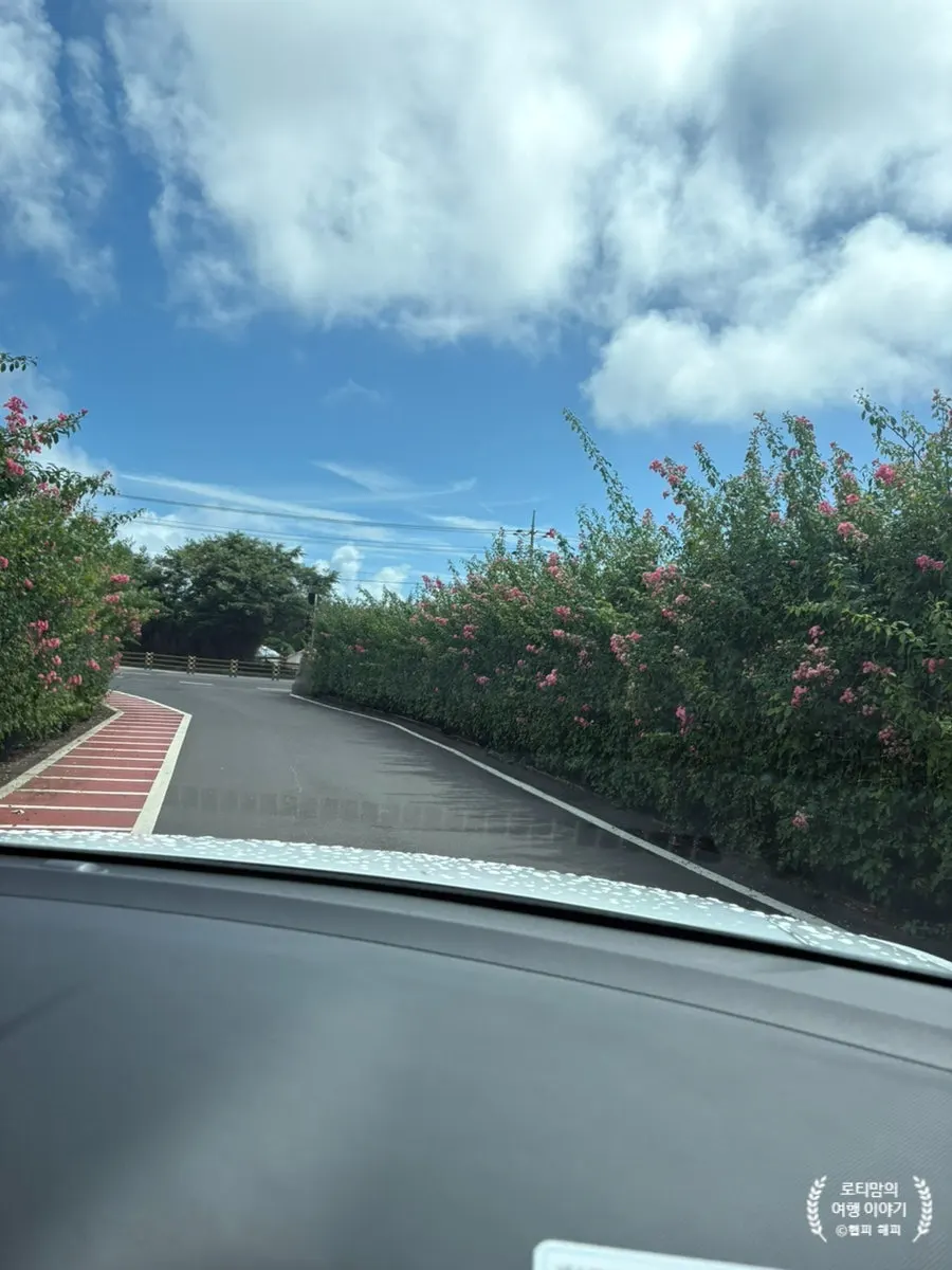 View of the flower garden around the restaurant
