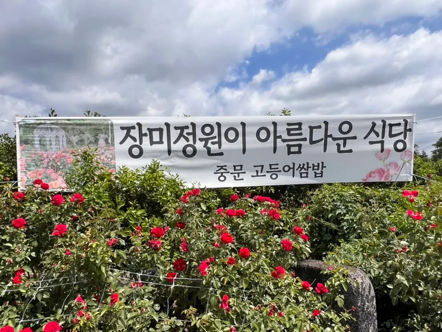 Flowers blooming at the parking lot entrance of Jungmun Godeungeo Ssam-bap