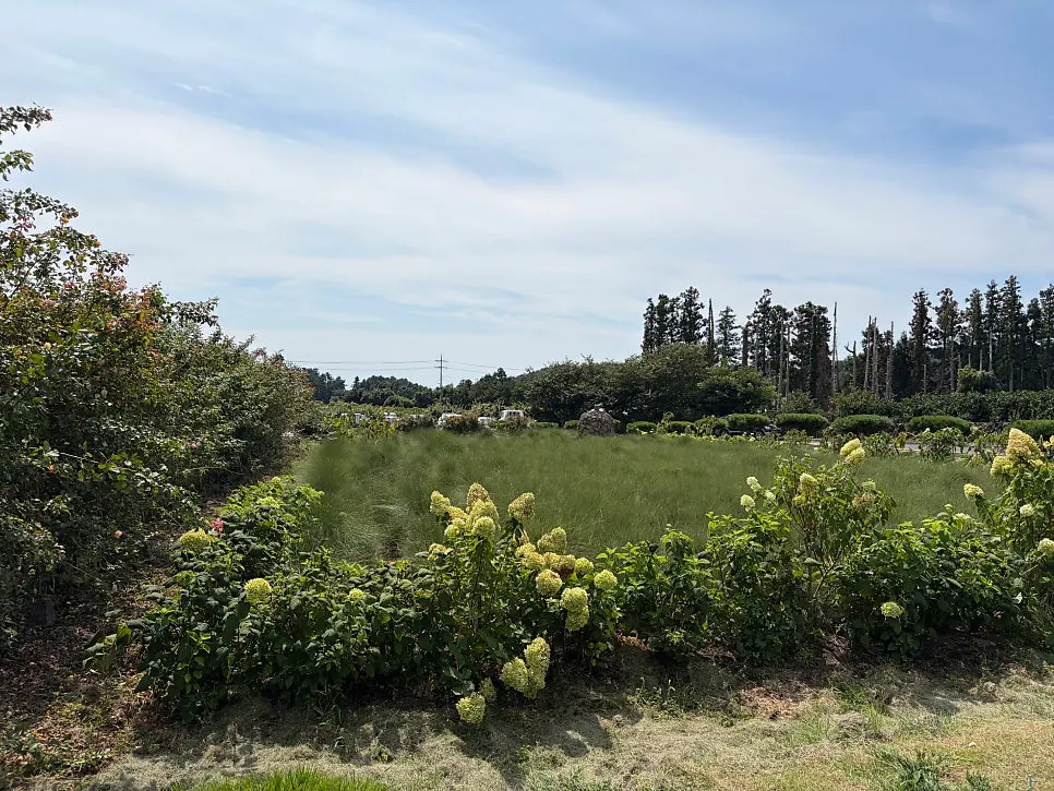 Garden surrounding Jungmun Godeungeo Ssam-bap