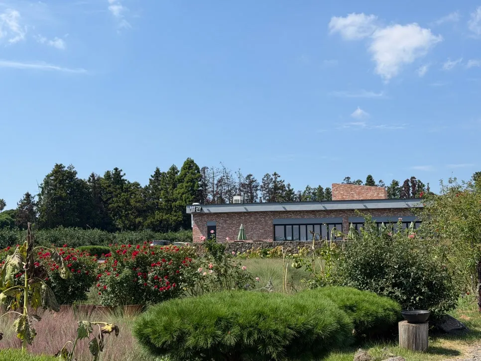 Large building and annex space of Jungmun Godeungeo Ssam-bap