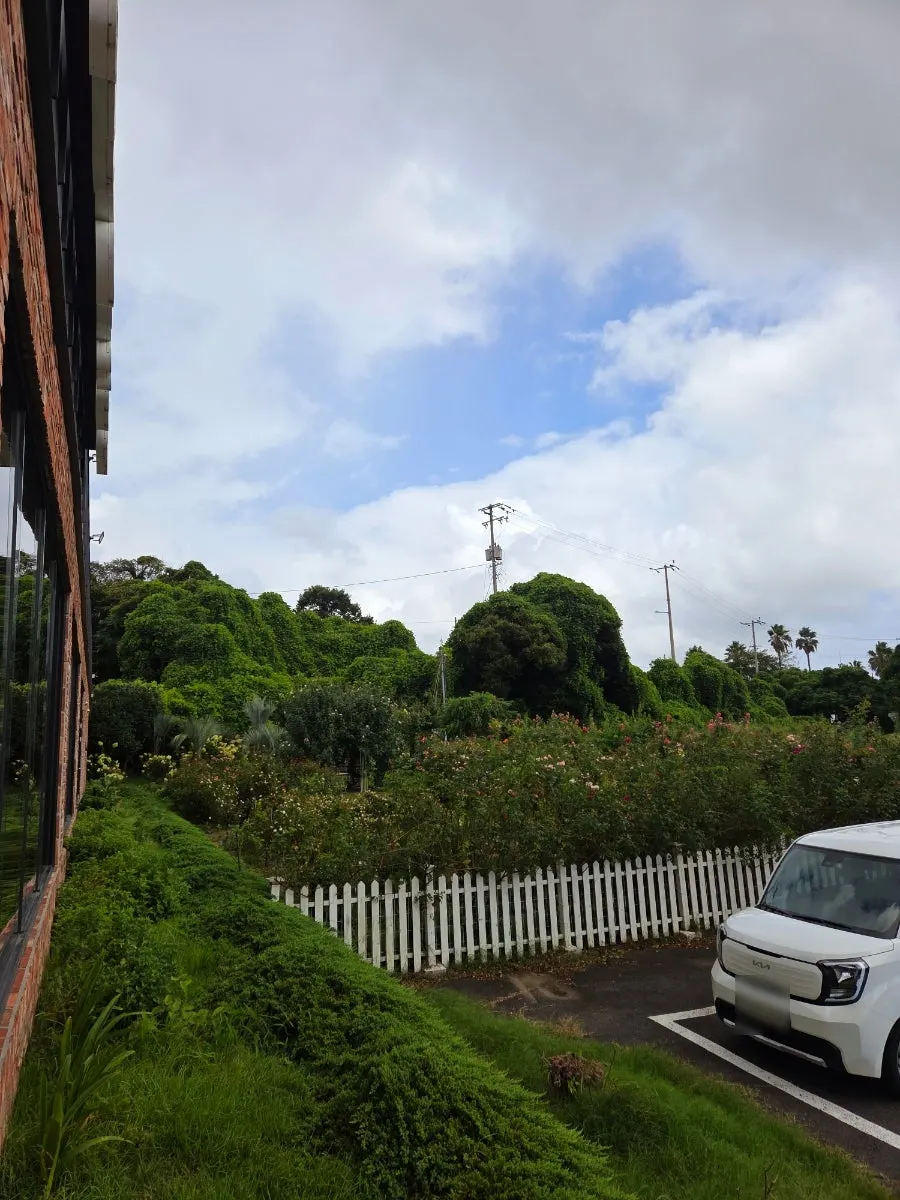 Jeju travel route near the Jungmun Tourist Complex