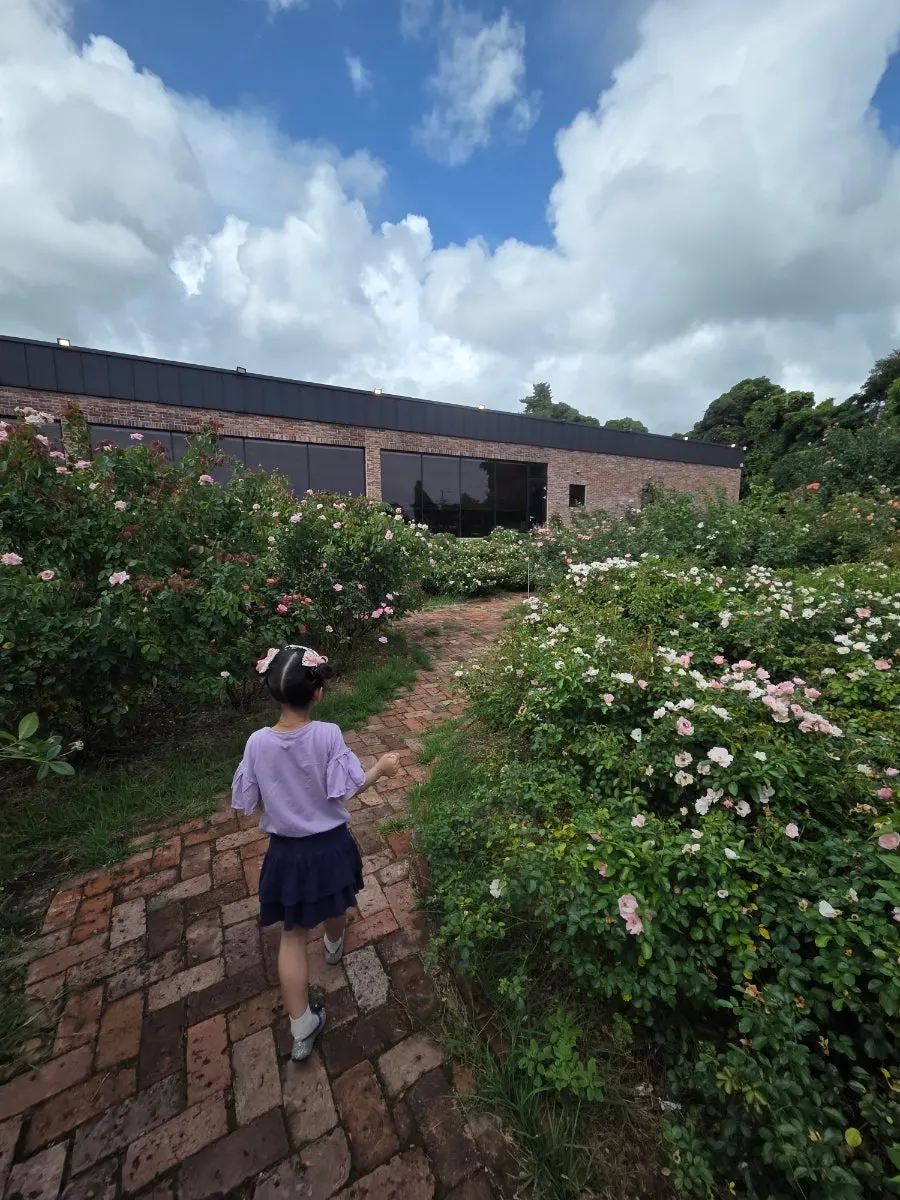 Restaurant garden with late-summer roses