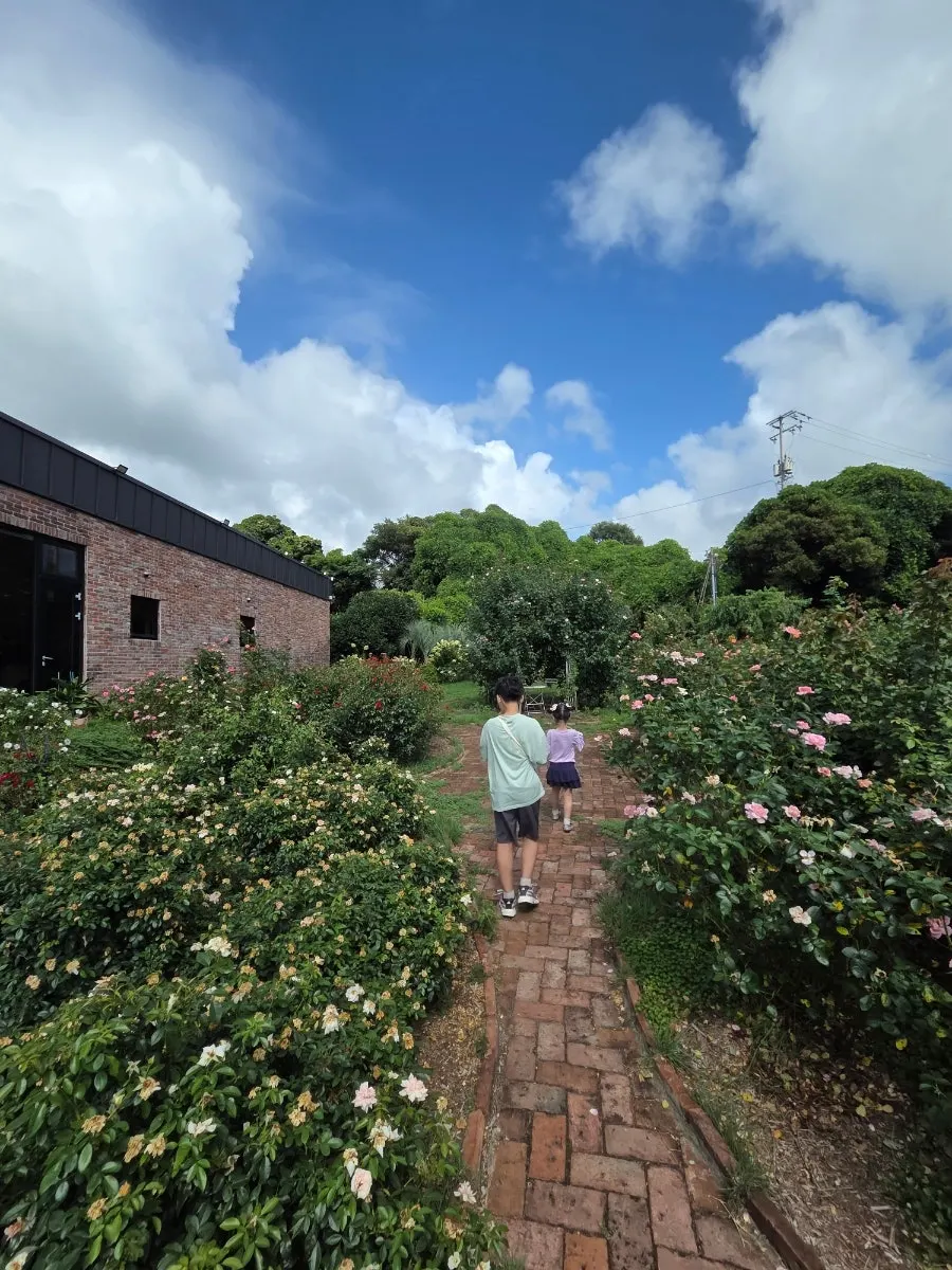 Garden stroll looking at pretty flowers