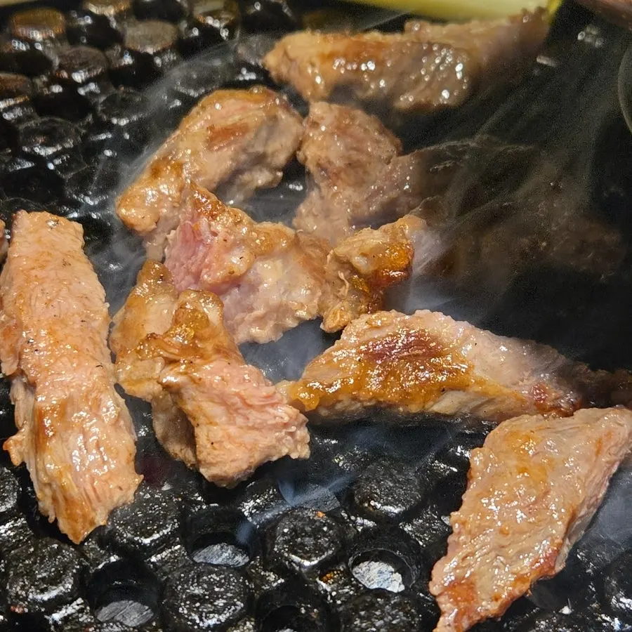 Fully cooked piece of crocodile cut