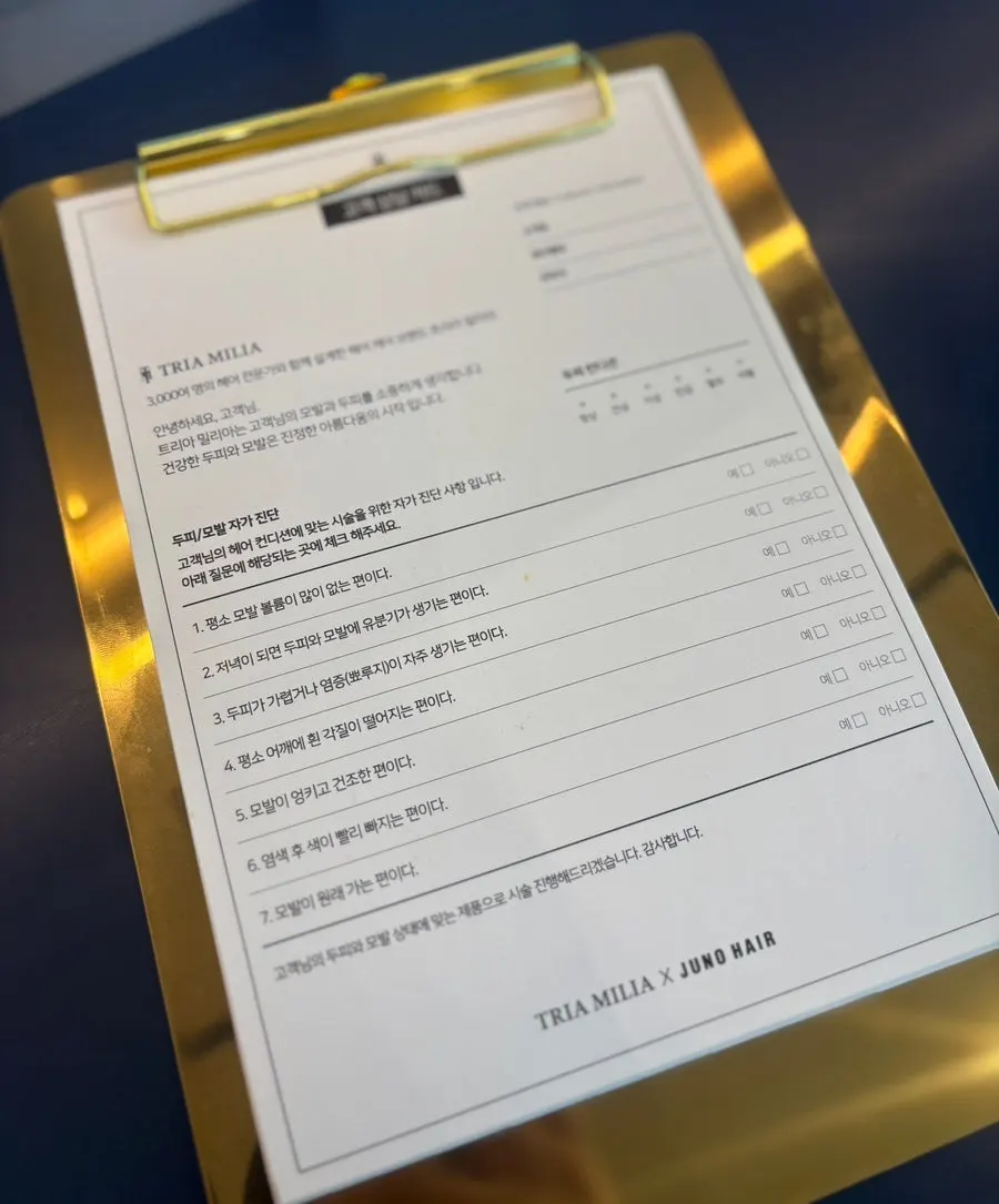 디자이너가 모발 상태를 확인하는 상담 장면
