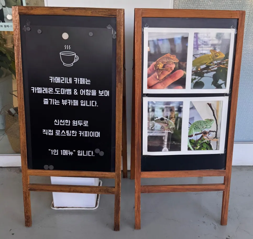 카메리네 영업시간 안내