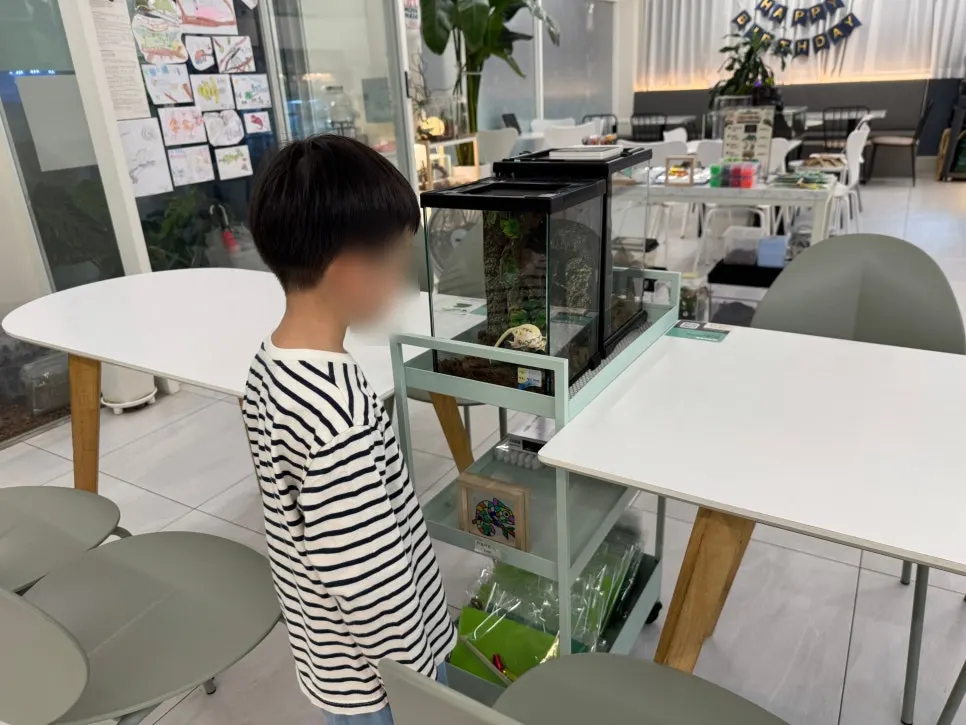 오픈된 투명 통의 귀뚜라미 사육장
