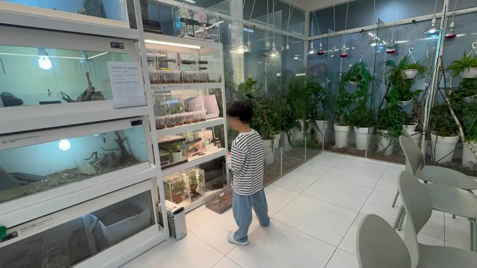 매장을 돌며 볼 수 있는 도마뱀 사육장