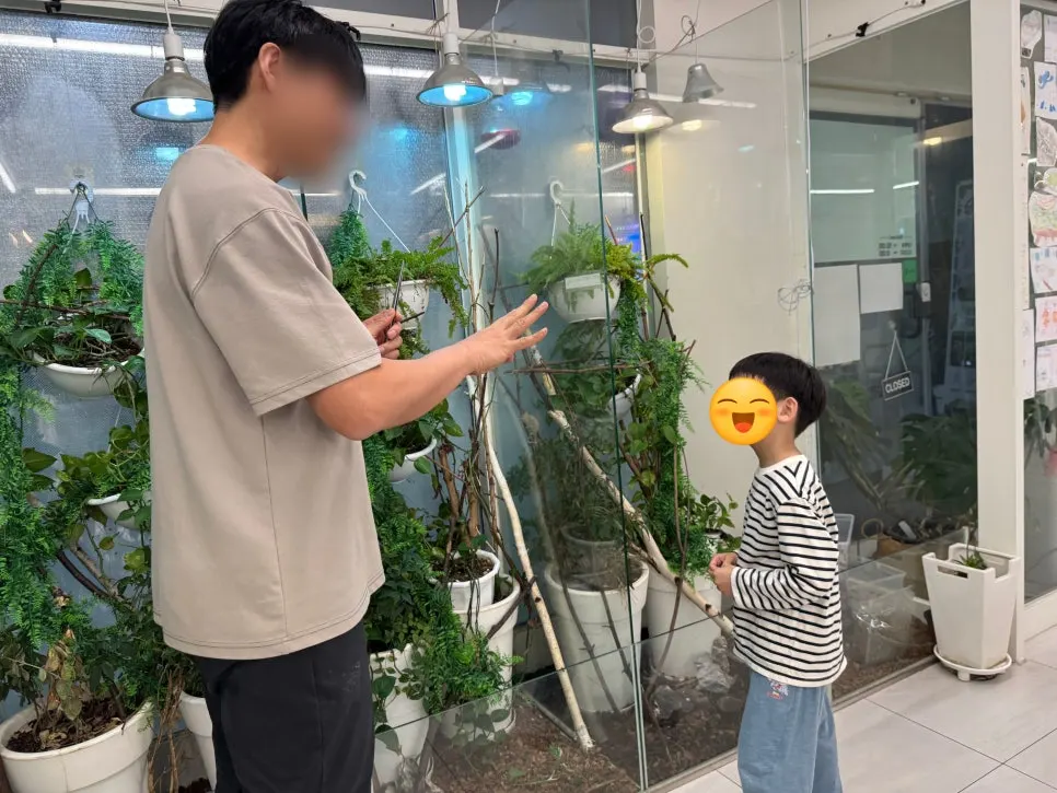 여러 종류의 도마뱀 사육장