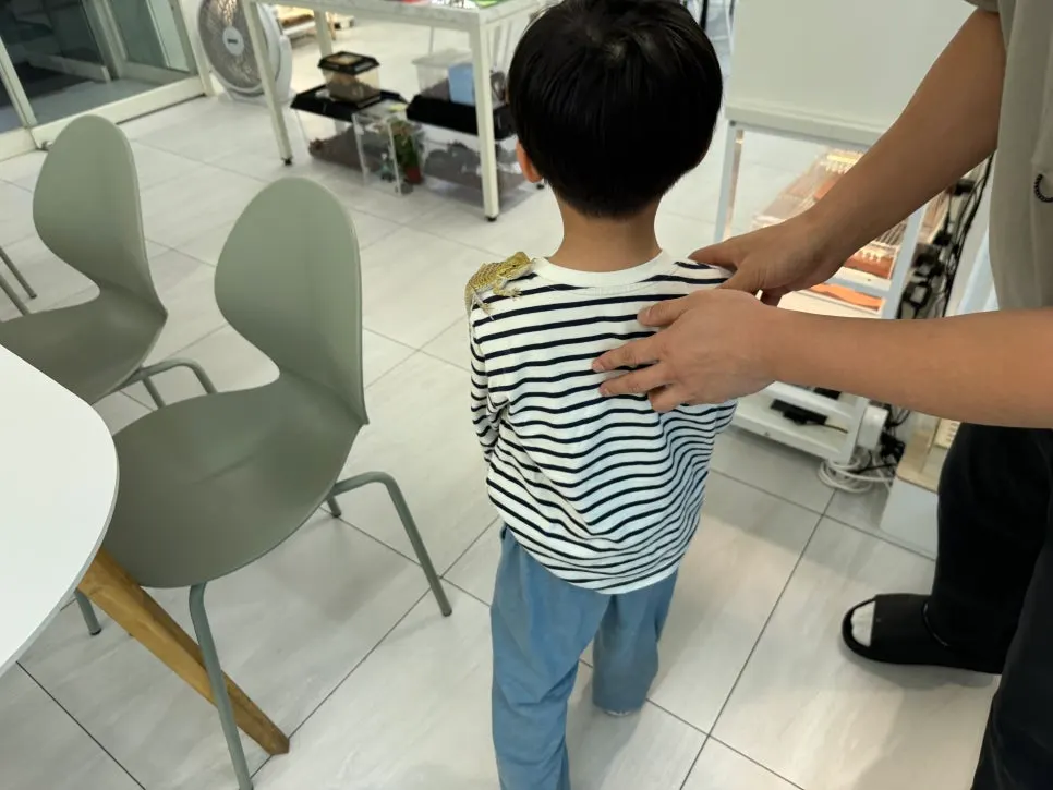 도마뱀을 조심스레 만져보는 아이