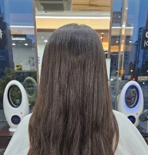 손으로 빗질되는 클리닉 후 모발
