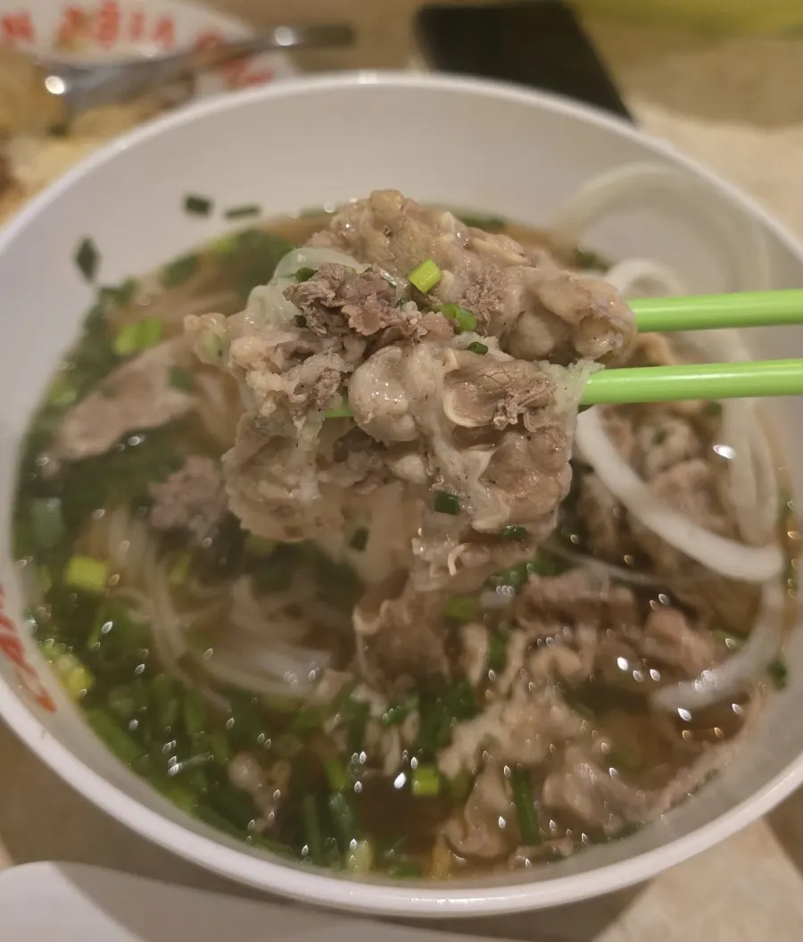 Lifting up noodles from the pho