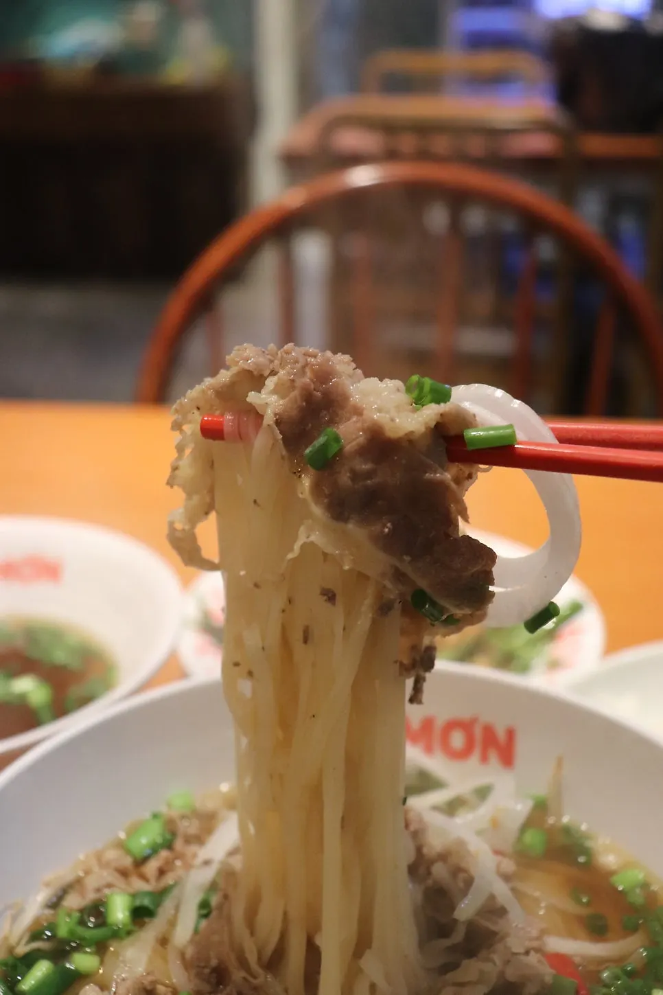 Pho topped with onion slices and scallions