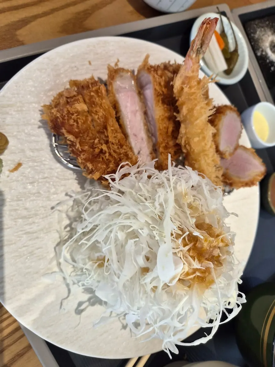 김선도 정식 카츠 클로즈업