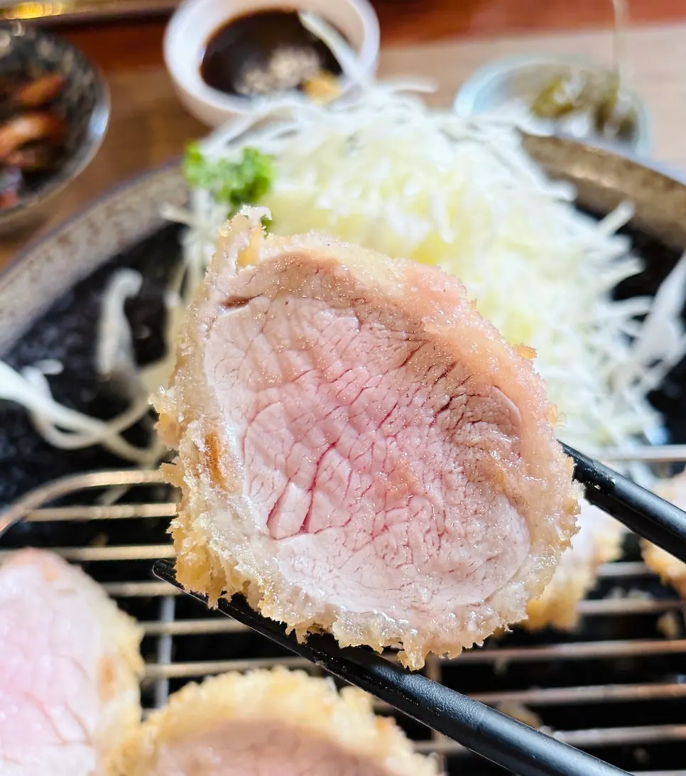 핑크솔트에 찍은 히레카츠 한 점