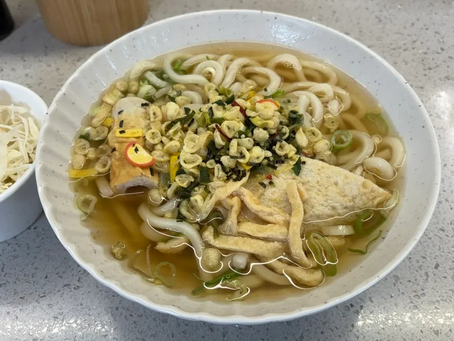 Katsuo fish cake udon with broth and noodles