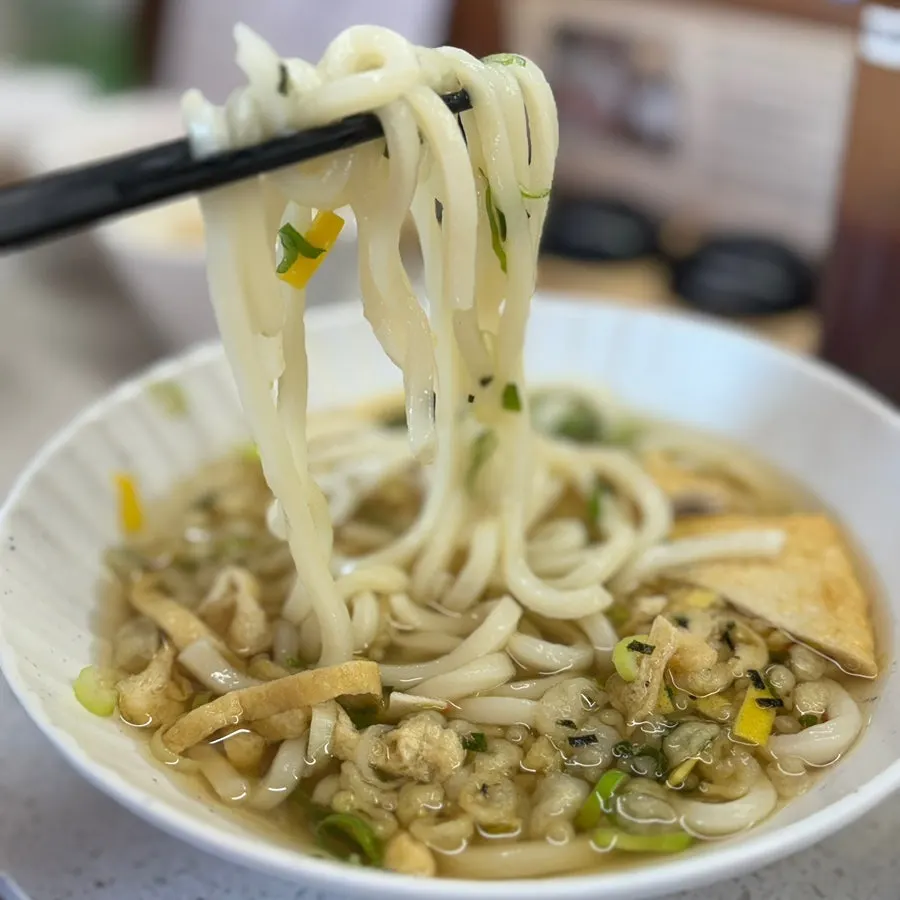 Eating tonkatsu and udon together at the table