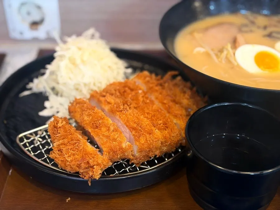 가브리살카츠 상로스카츠 단면
