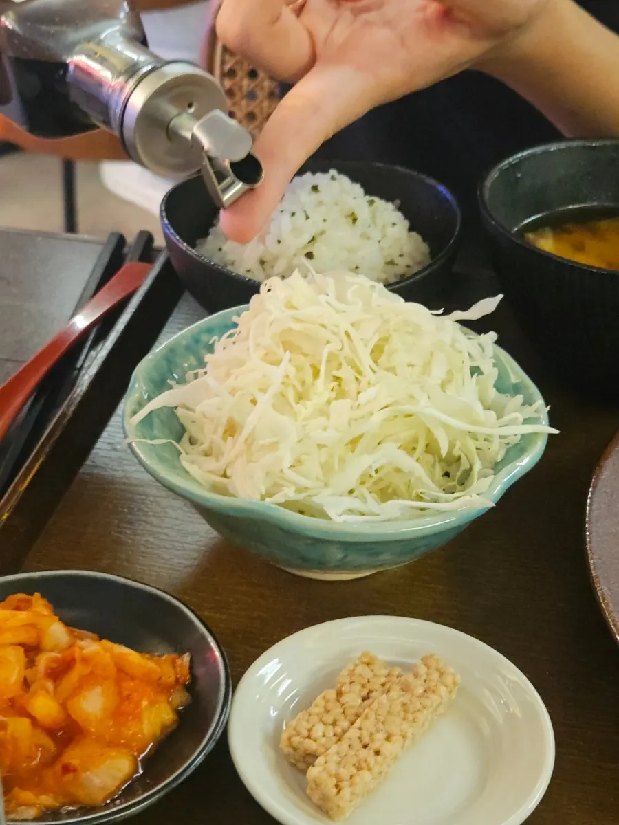Crispy breading cross-section of rosukatsu