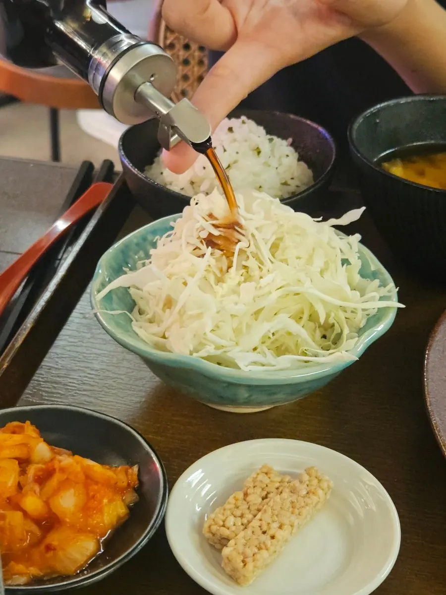 Close-up of a piece of rosukatsu