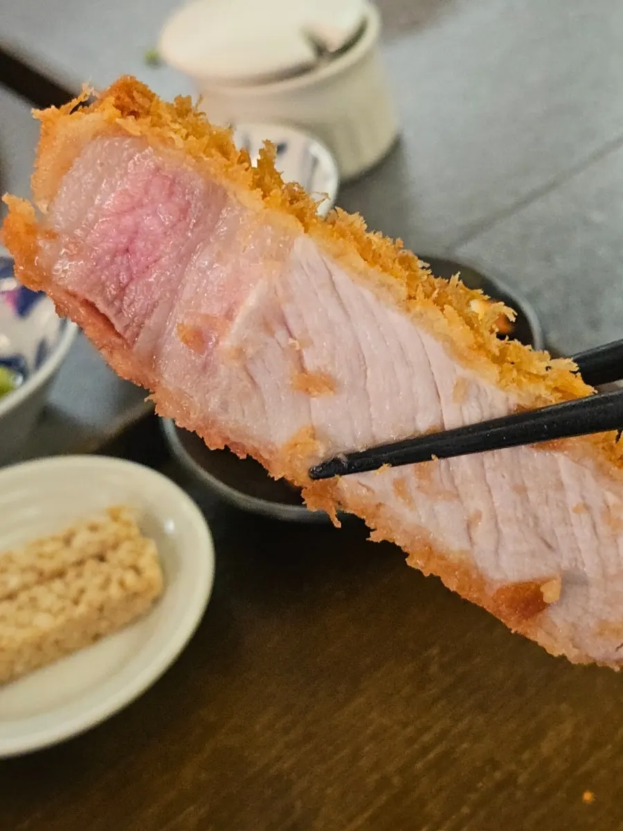 Cross-section of tender hirekatsu
