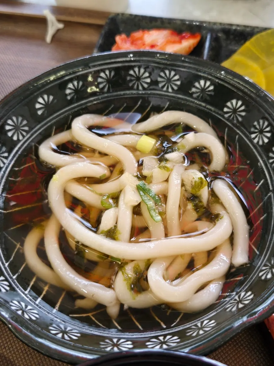 탱글한 면발의 냉우동 클로즈업