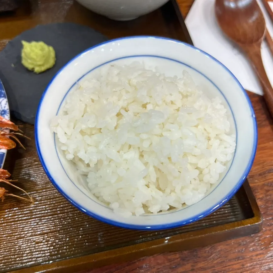 Extra tenderloin piece ordered near Suyu Station at Katsu Shokudou Suyu