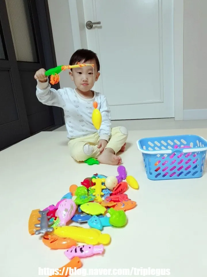 색상과 모양이 다양한 해양생물 모형