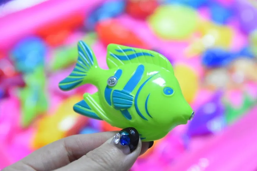 Fish sorted by type