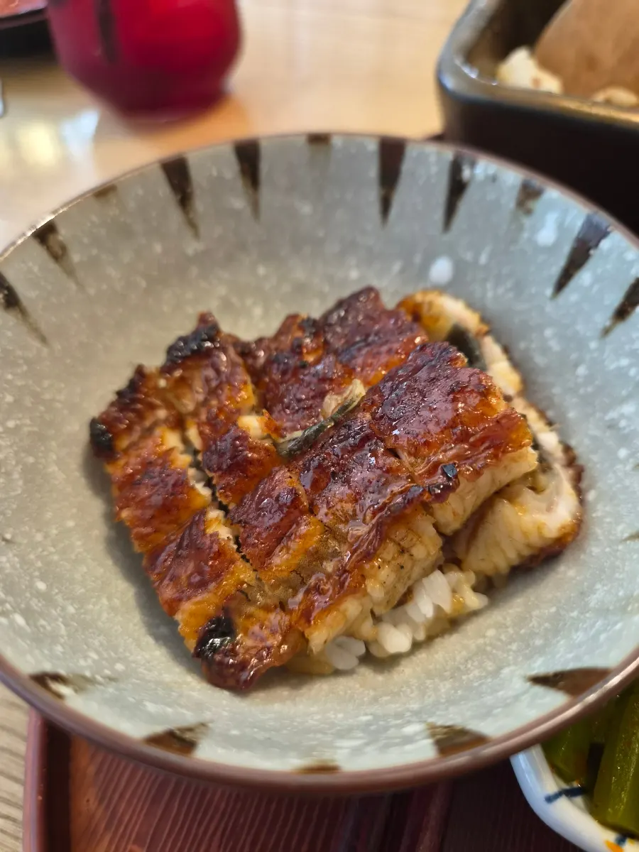 Glossy tare-glazed grilled eel rice bowl