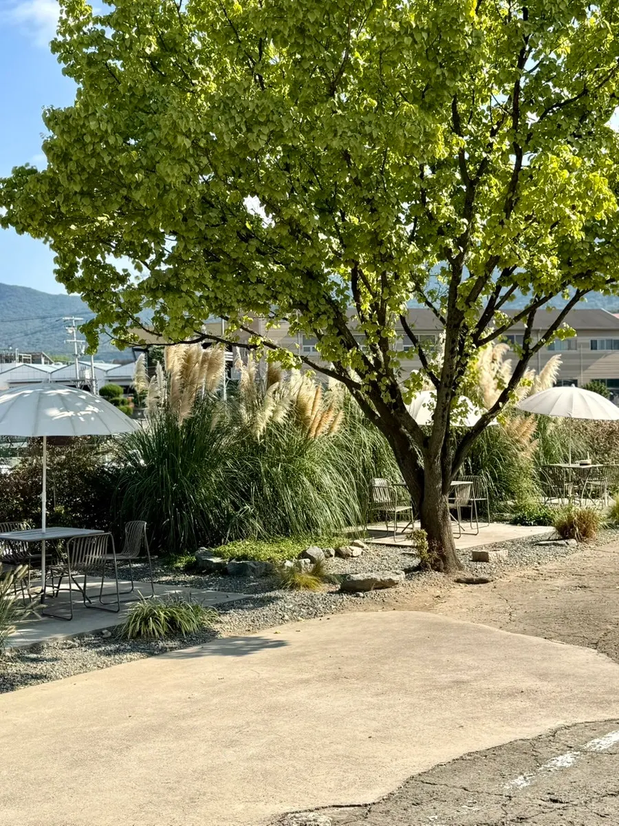 Outdoor view of Peer a Peer