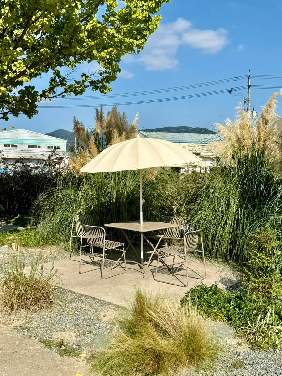 Outdoor photo zone with fall pampas grass