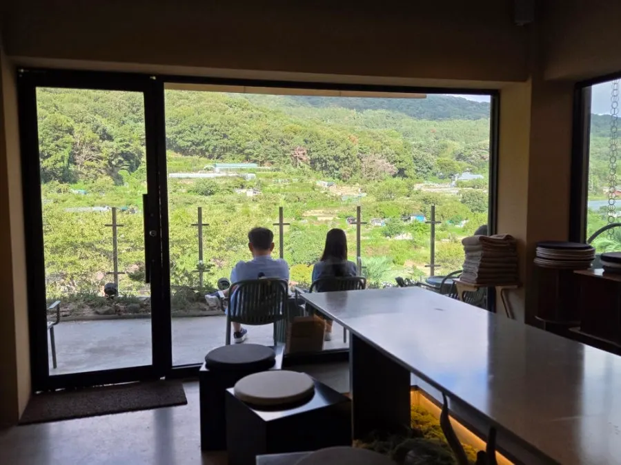 Outdoor view seen from inside the café