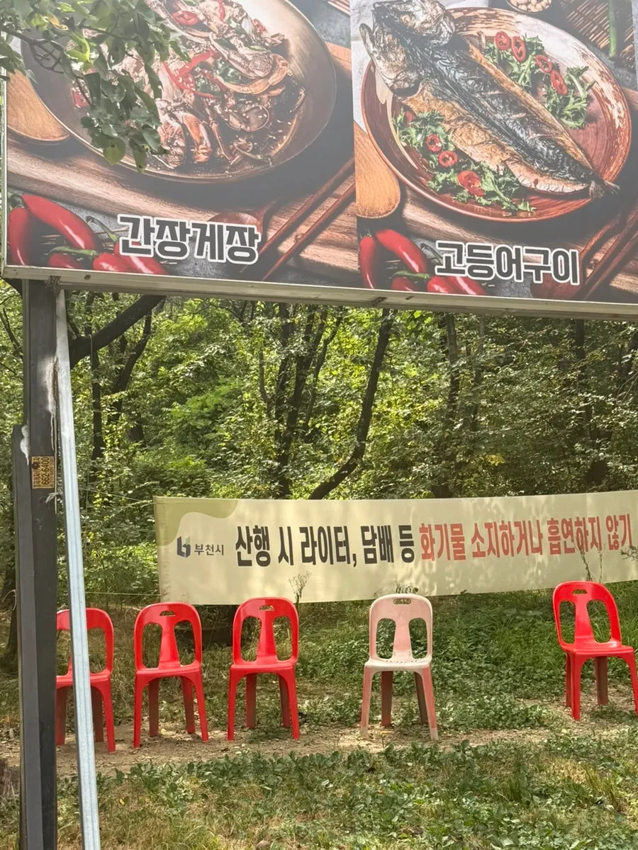 Waiting chairs under the shade of trees