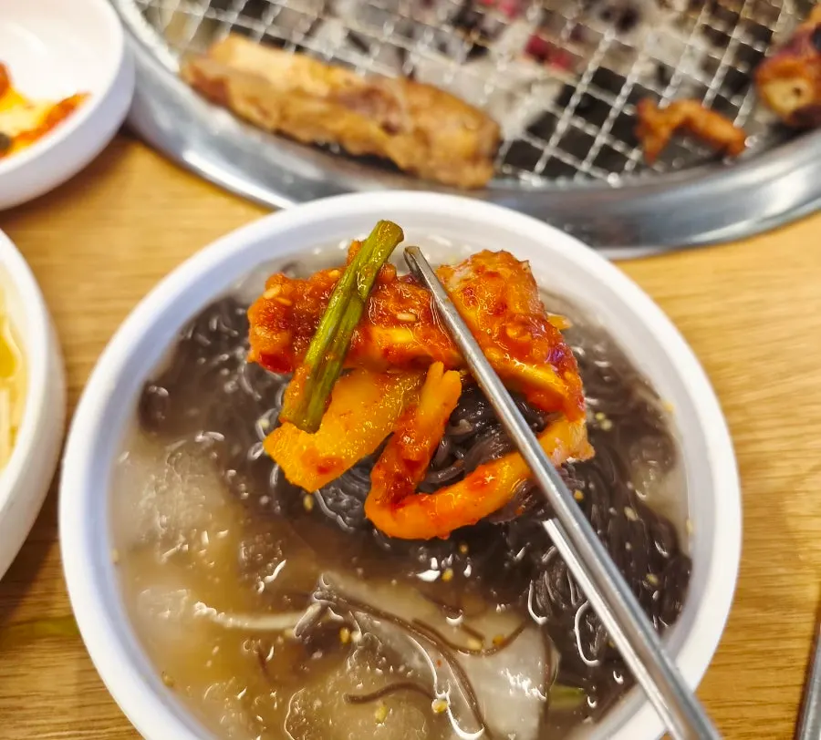 Water naengmyeon with radish salad in icy broth
