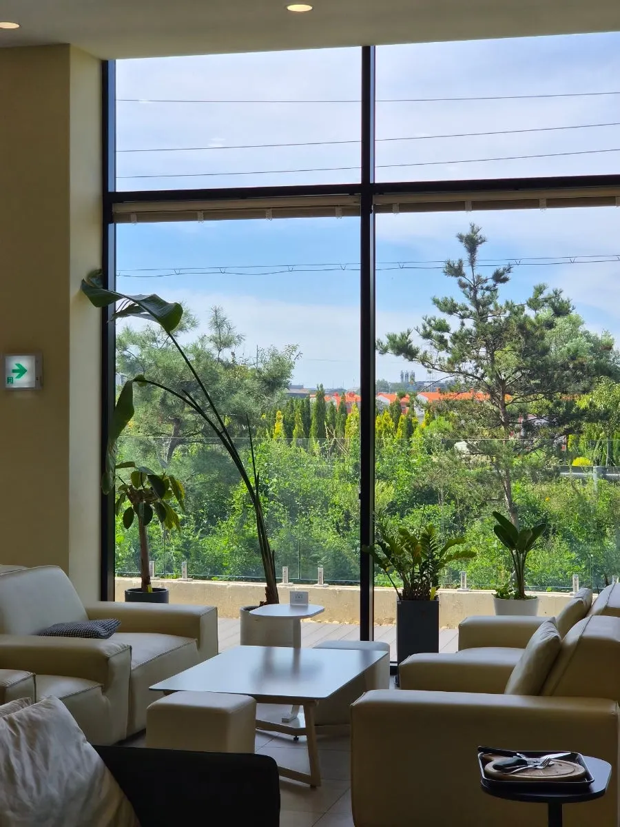 Basement-level café interior with green views through floor-to-ceiling windows