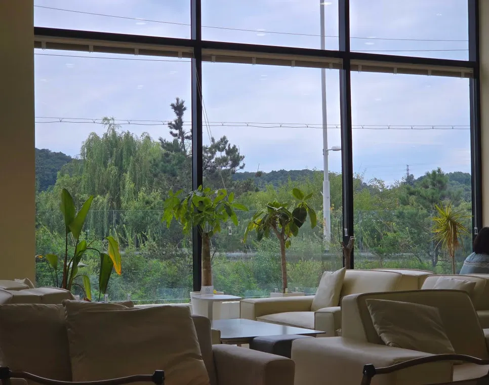 Interior of The Nillai with outdoor landscaping visible through the floor-to-ceiling window