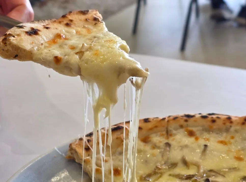A slice of truffle mushroom pizza topped with mushrooms and cheese