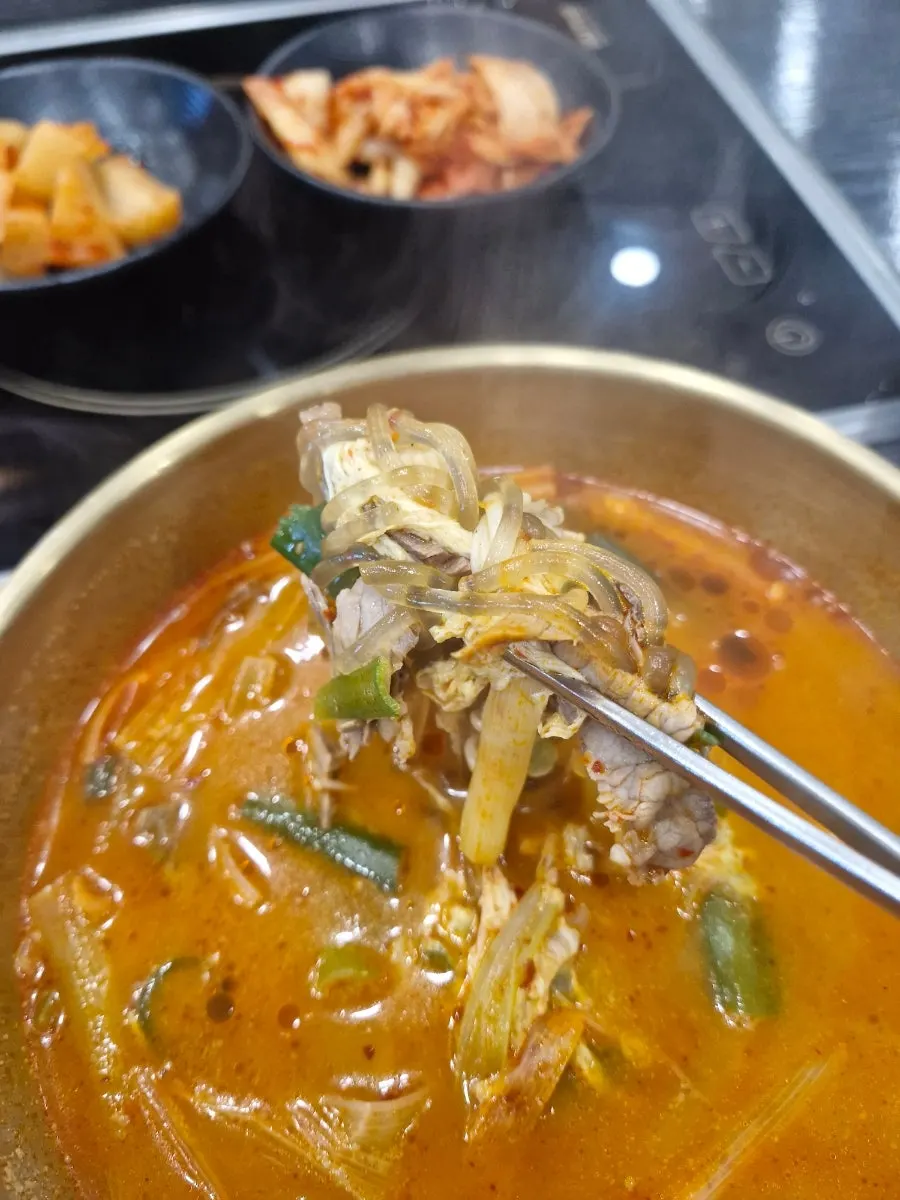 Ingredients in spicy seolleongtang