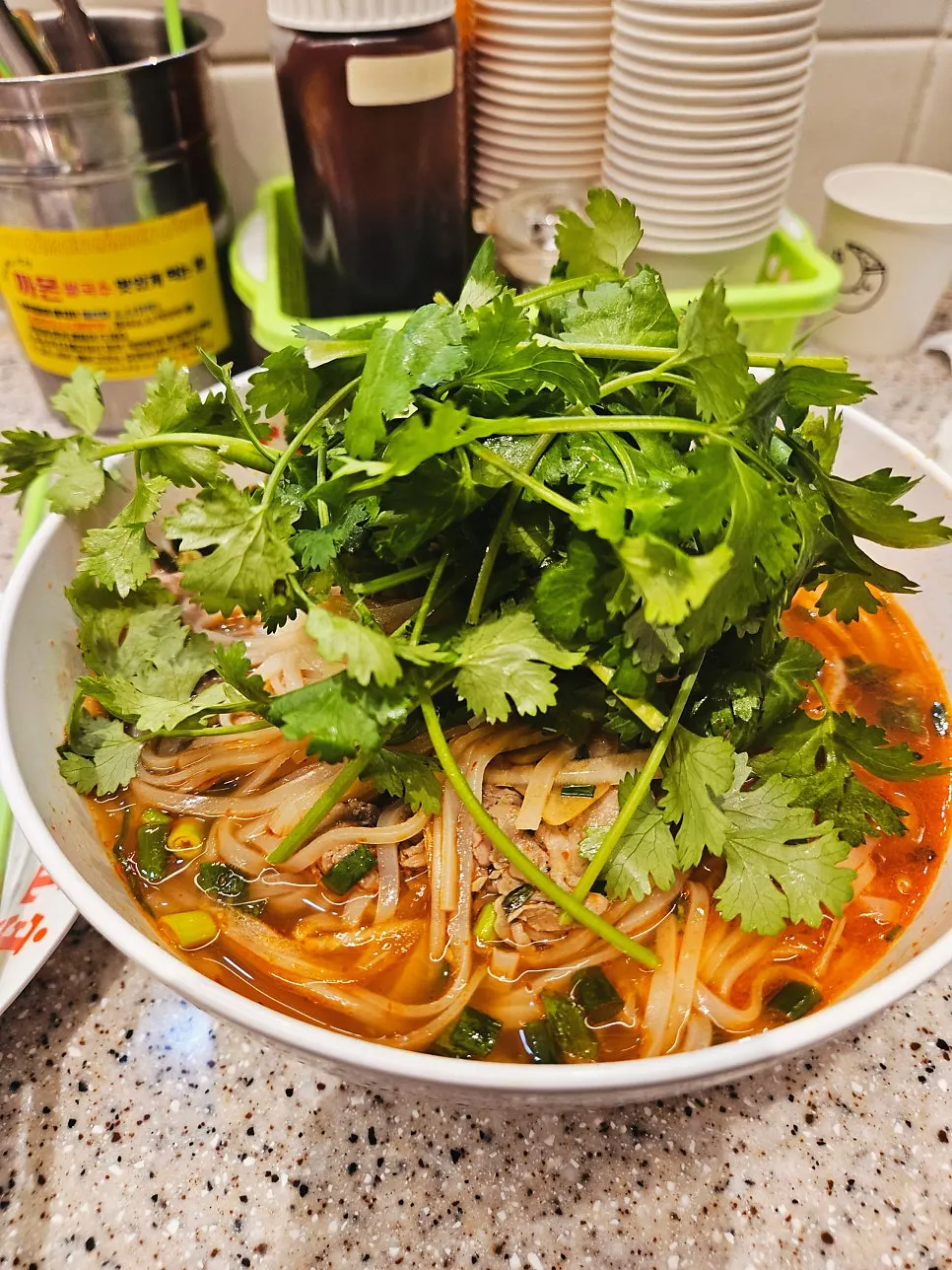 Pho loaded with bean sprouts and onion